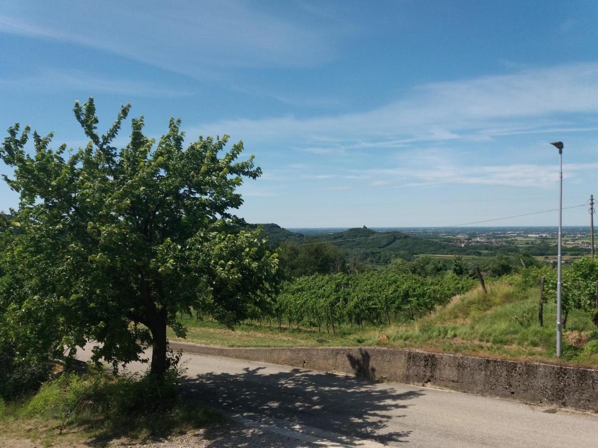 Agriturismo Casa Delle Rose Winery Ruttars Экстерьер фото