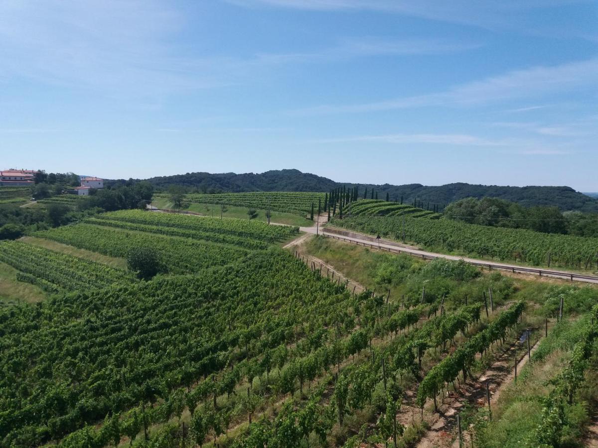 Agriturismo Casa Delle Rose Winery Ruttars Экстерьер фото
