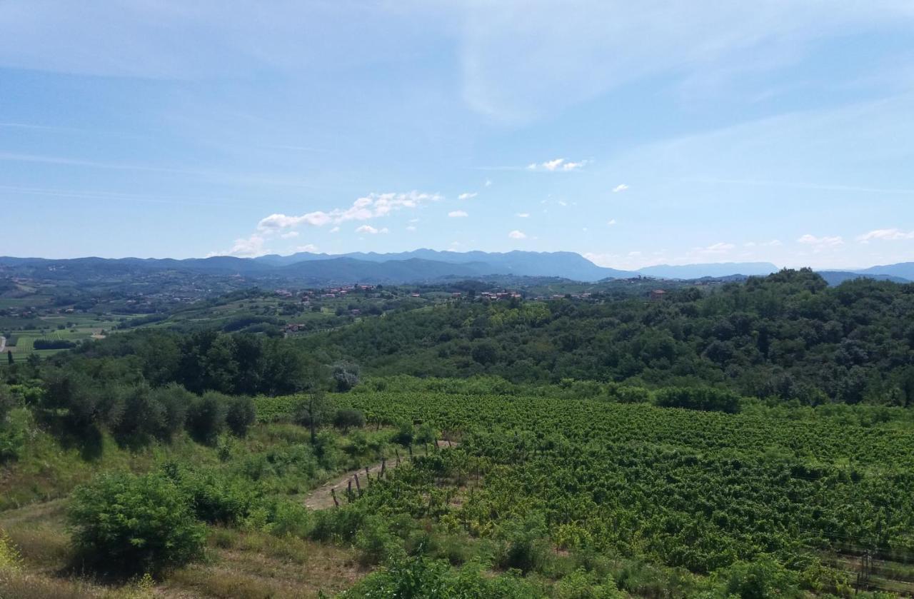 Agriturismo Casa Delle Rose Winery Ruttars Экстерьер фото
