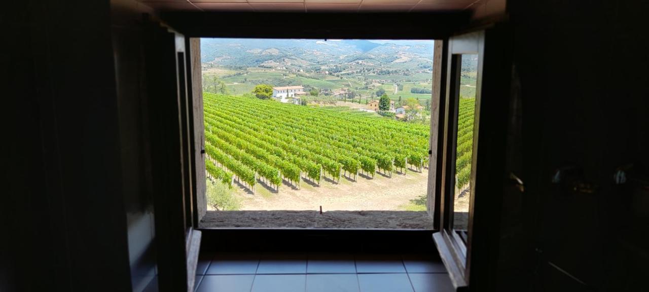 Agriturismo Casa Delle Rose Winery Ruttars Экстерьер фото