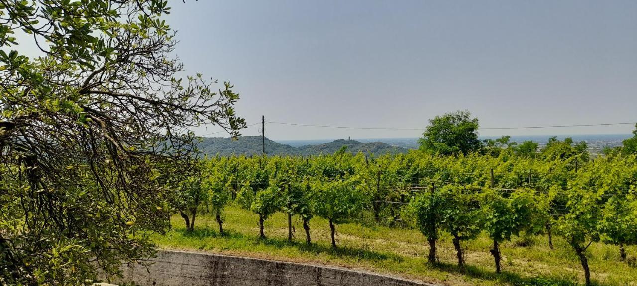 Agriturismo Casa Delle Rose Winery Ruttars Экстерьер фото