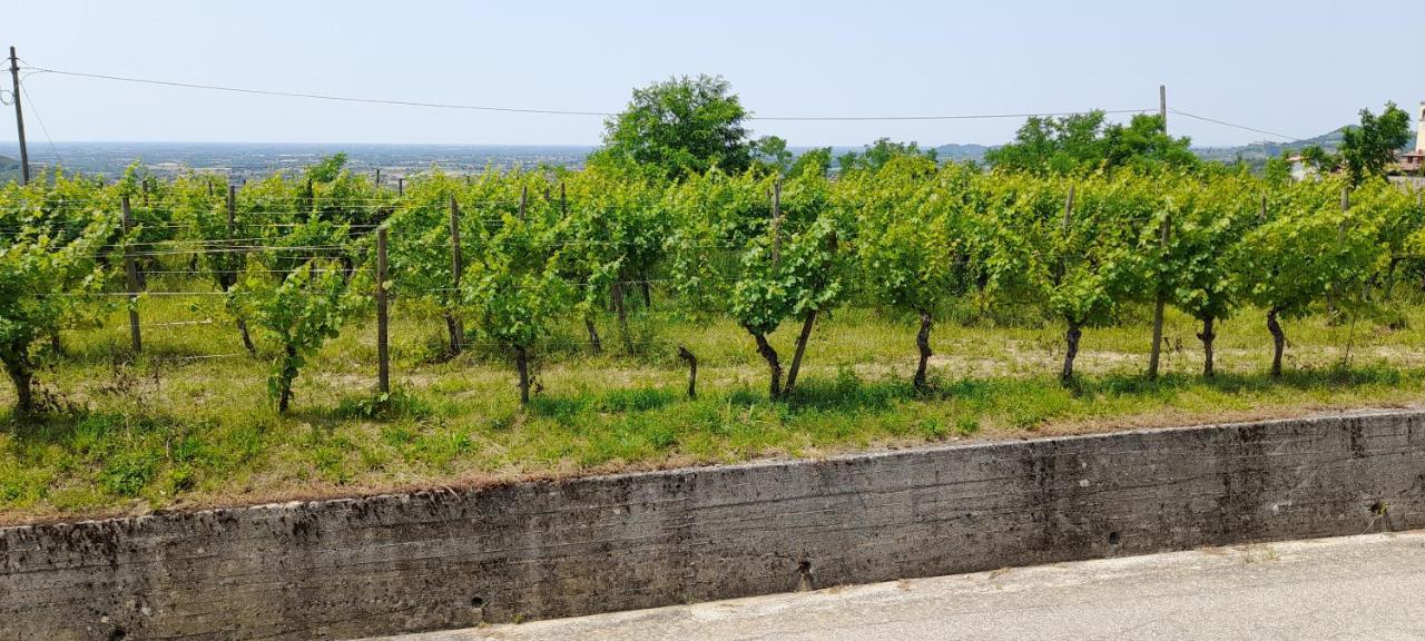 Agriturismo Casa Delle Rose Winery Ruttars Экстерьер фото