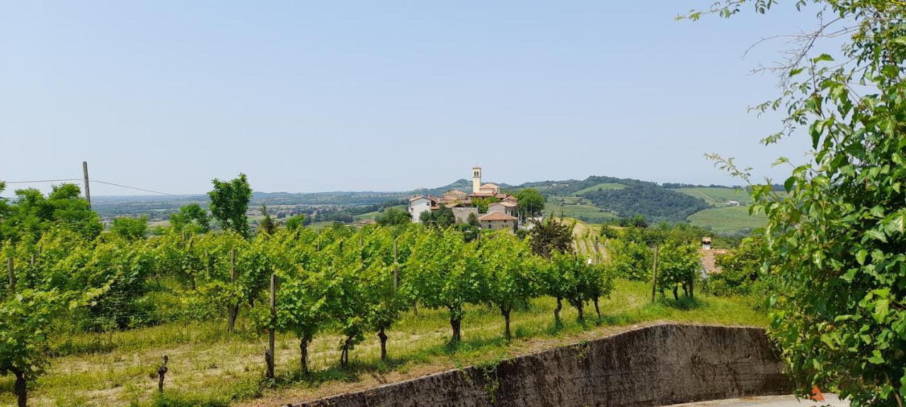 Agriturismo Casa Delle Rose Winery Ruttars Экстерьер фото