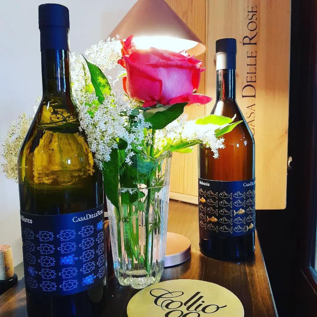Agriturismo Casa Delle Rose Winery Ruttars Экстерьер фото