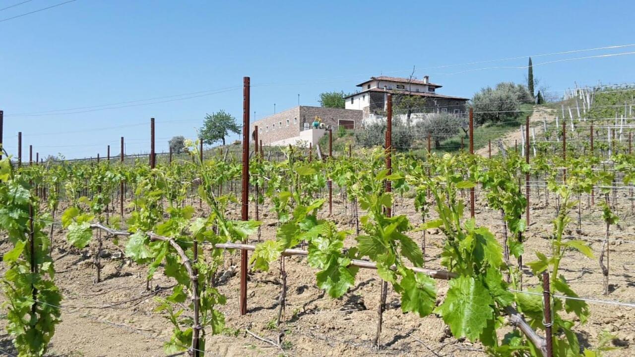 Agriturismo Casa Delle Rose Winery Ruttars Экстерьер фото