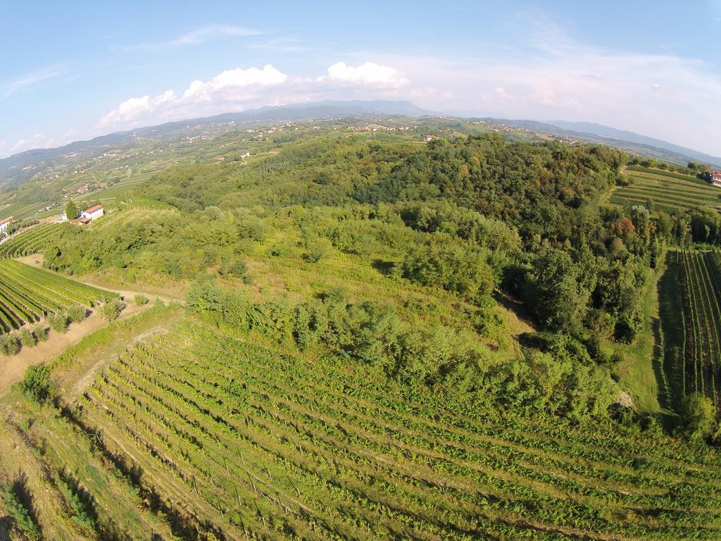 Agriturismo Casa Delle Rose Winery Ruttars Экстерьер фото