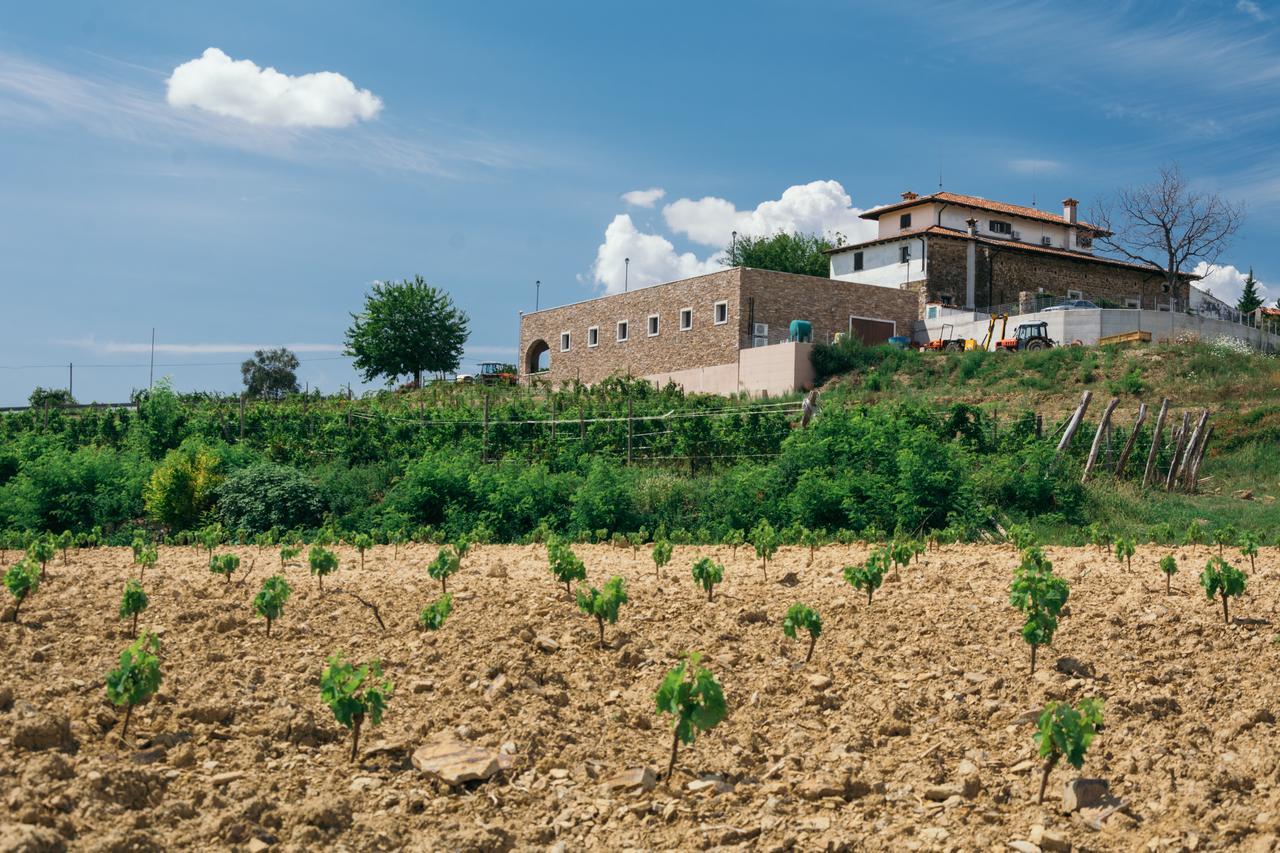 Agriturismo Casa Delle Rose Winery Ruttars Экстерьер фото