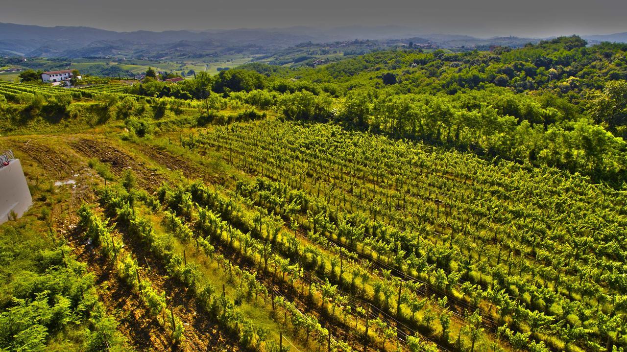 Agriturismo Casa Delle Rose Winery Ruttars Экстерьер фото
